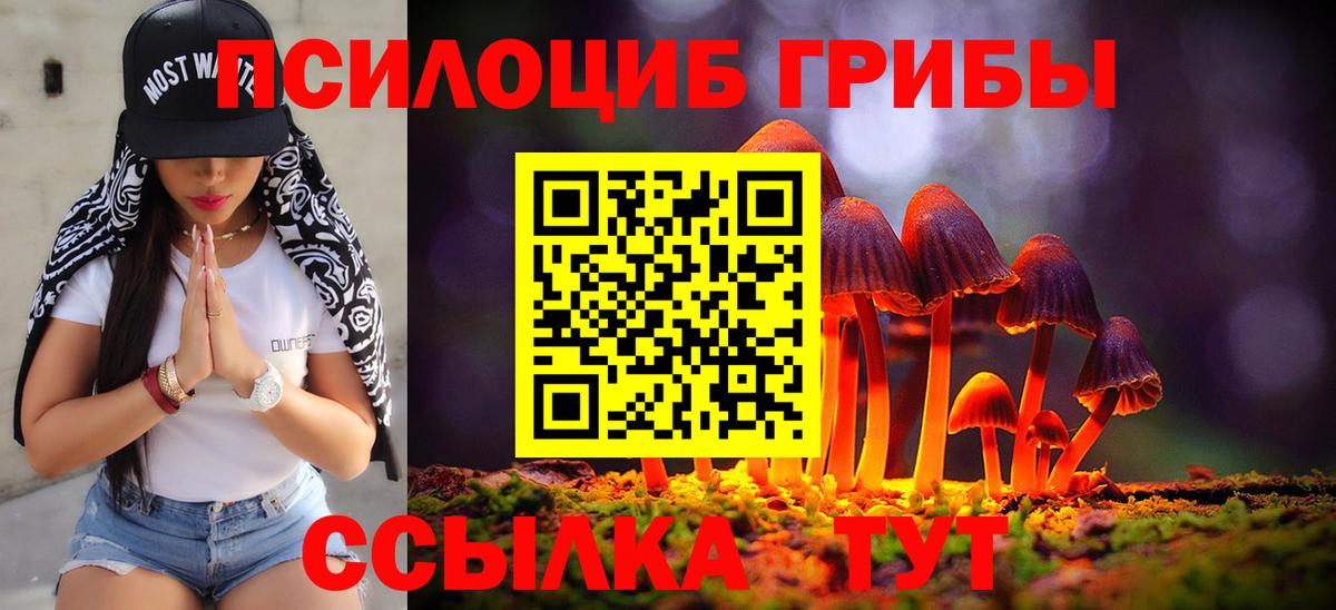 Псилоцибиновые грибы MAGIC MUSHROOMS  Вход с VPN  Волжск  Псилоцибиновые грибы Cubensis 